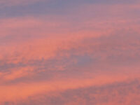 Lilibet’s fundraising page for the Lord’s Taverners - London Marathon 2026