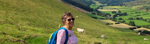 In Memory of Jo Hallett