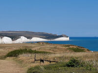 Sponsored Walk 2026