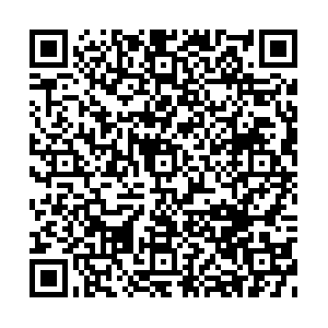 Donate to Silver Fox Dog Rescue | Give as you Live Donate